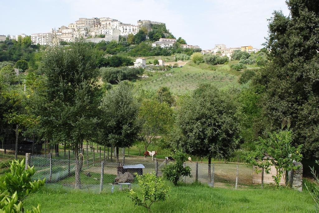 Agriturismo L'Arca Di Anna Brambilla 贝尔韦代雷 外观 照片